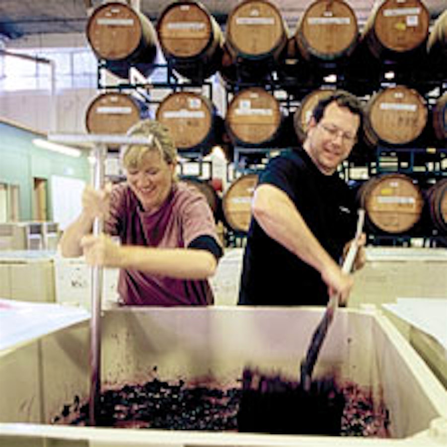 Design Your Own Wine
