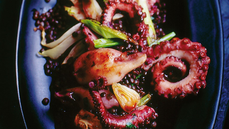 Octopus Obsession