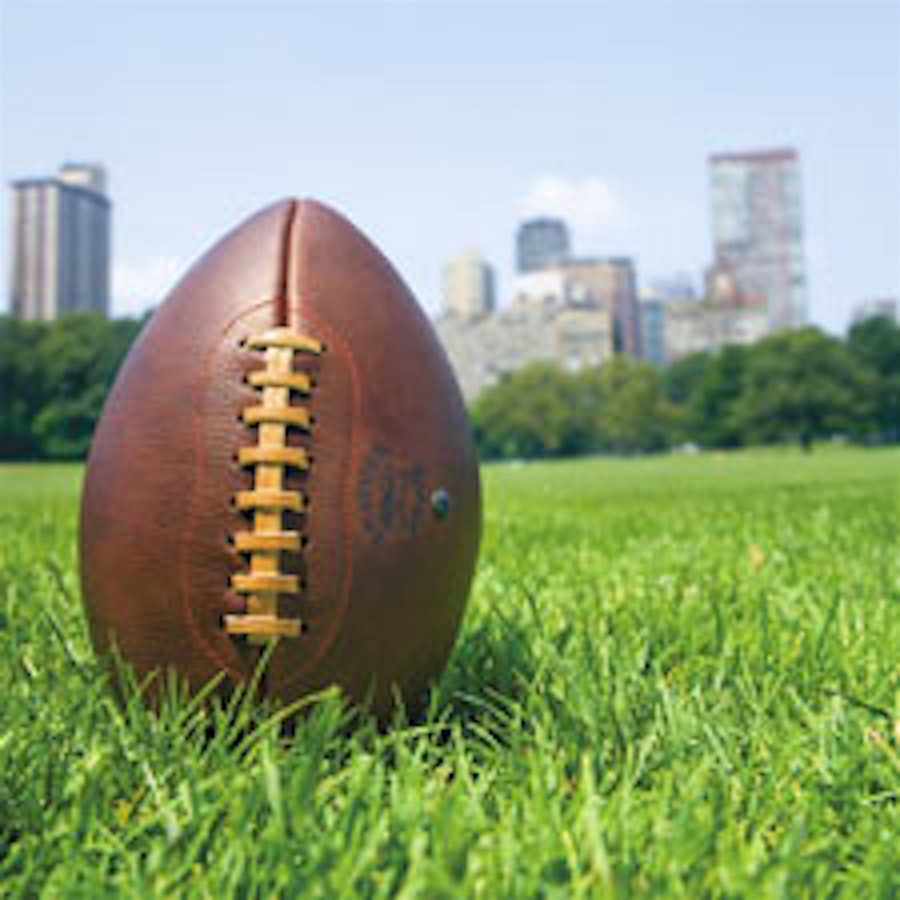 Handsome Dan Football