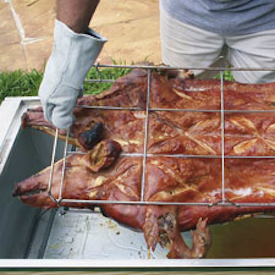 Going Whole Hog