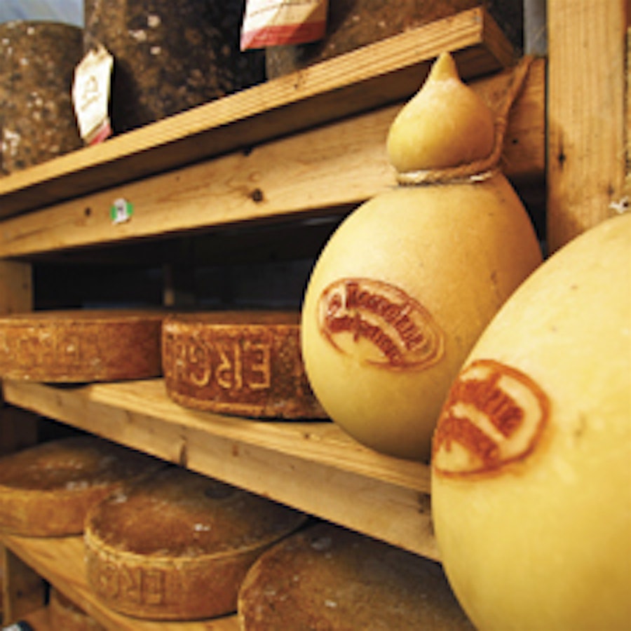 Urban Cheese Caves