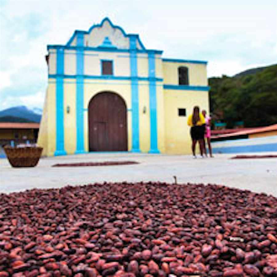 Chuao's Chocolate Terroir