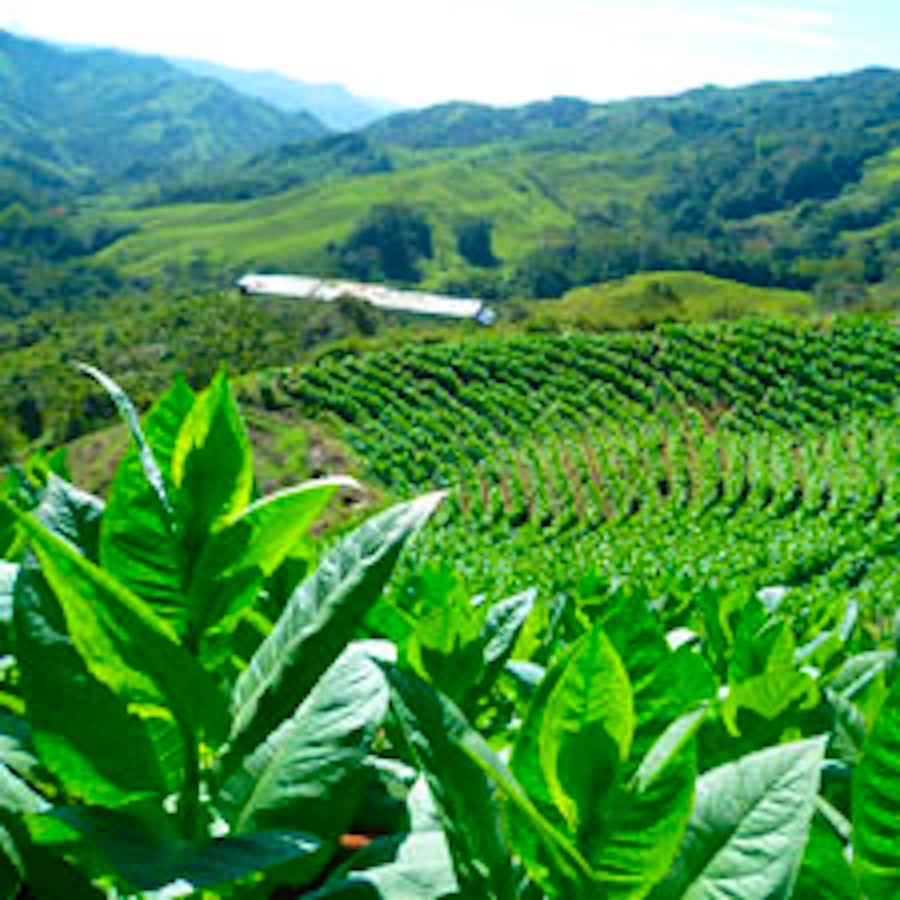 Philip Wynn Invests in Costa Rica