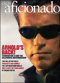 thumbnail image 2 of Arnold Schwarzenegger With Cigar Pop Art Poster – 20x30 Wall Art Print 2 of 6