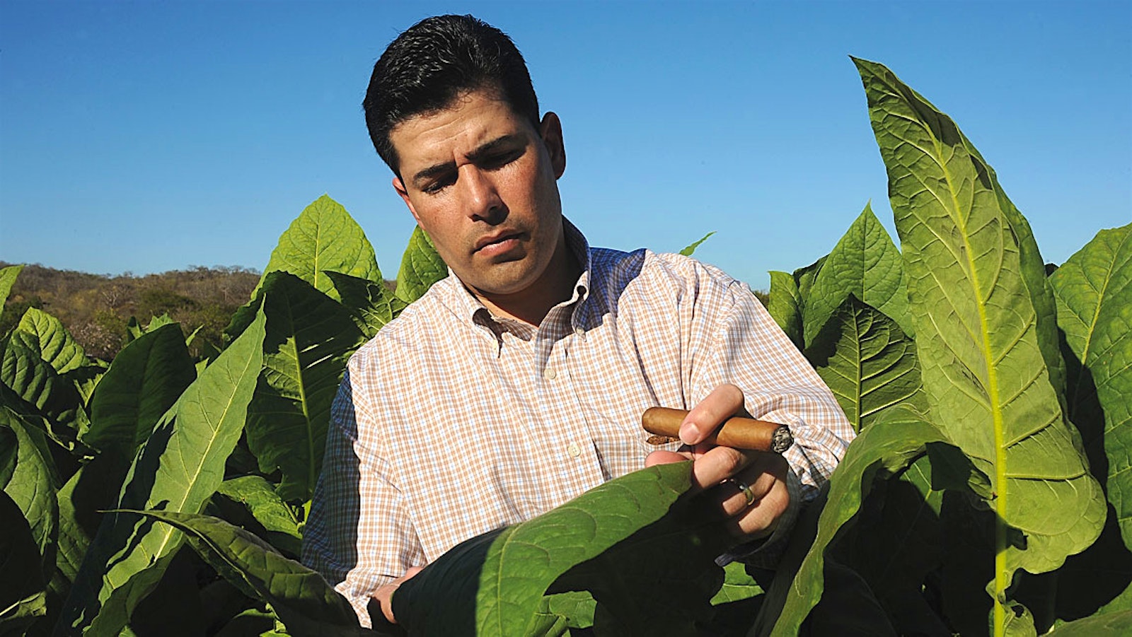 Nicaragua’s Next Giant