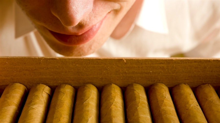 How Long Can Cigars Stay Fresh?