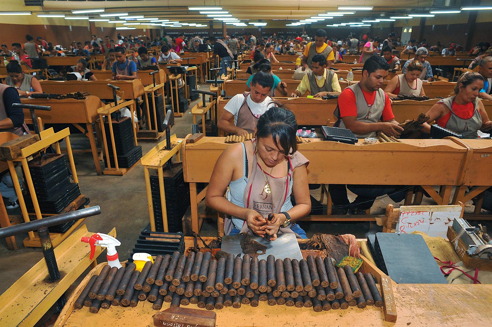 Fernandez's cigar rollers make 14 million smokes a year.