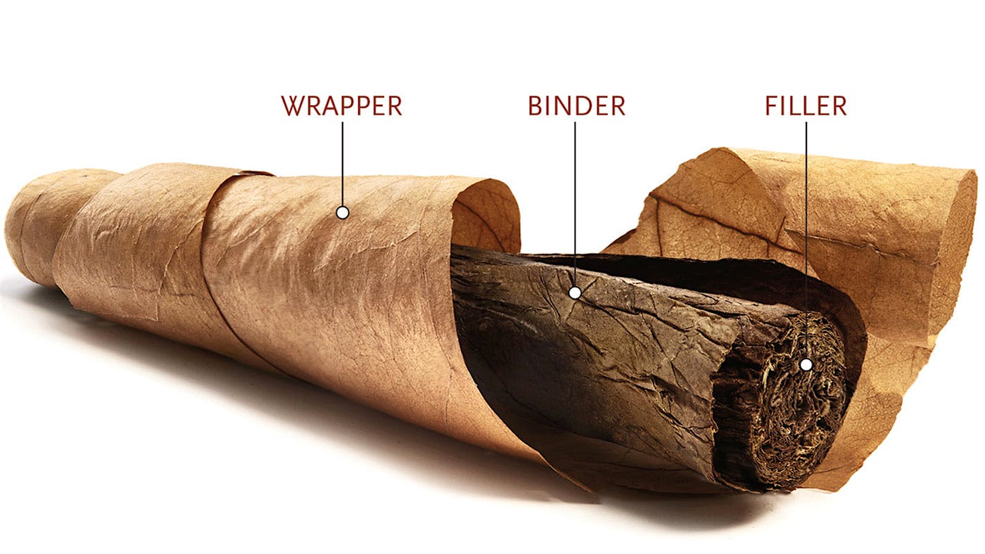Anatomy of a Cigar