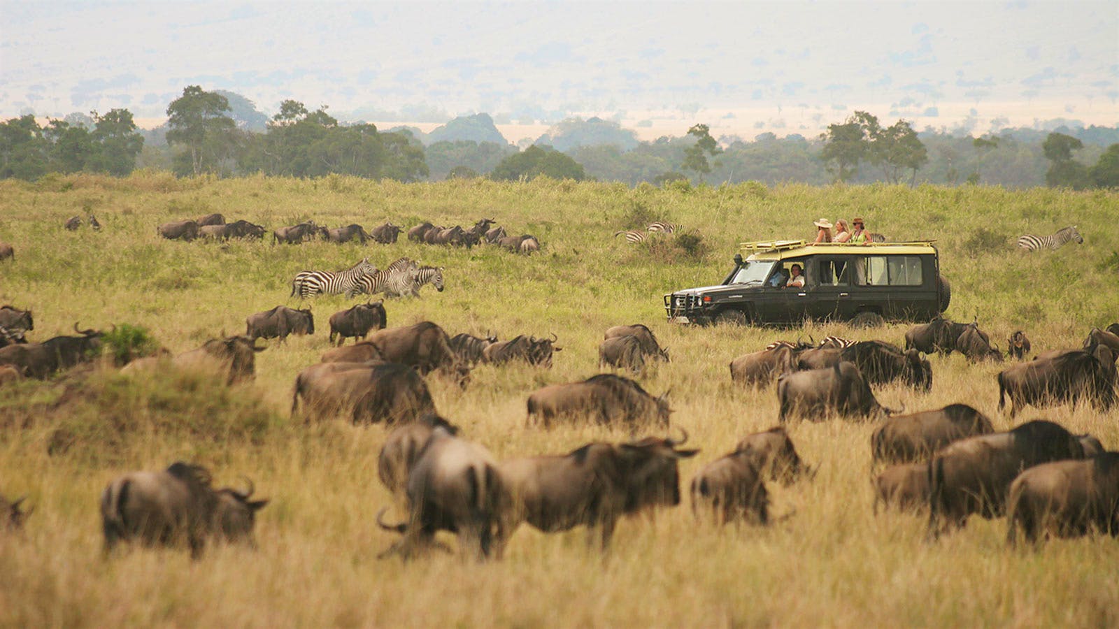 Luxury Tanzania Safari Tours & Adventures — Wander Africa