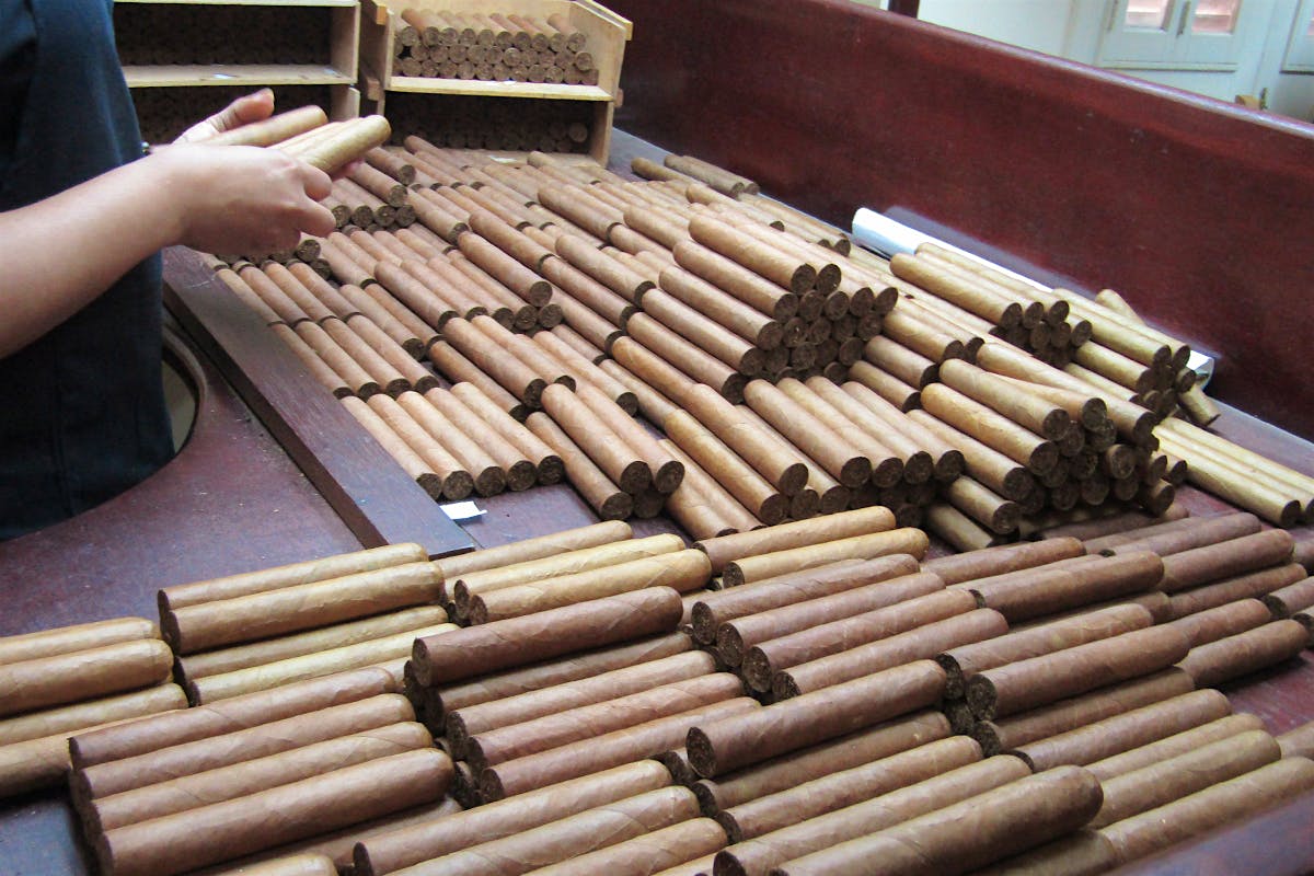 Quality control is where they check cigars for color consistency before each stick is banded up and boxed.