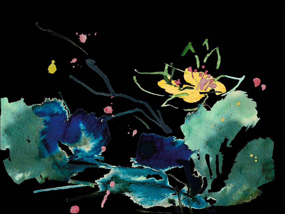 The prospective box artwork for Moon Garden, which was inspired by Japanese watercolor pieces.