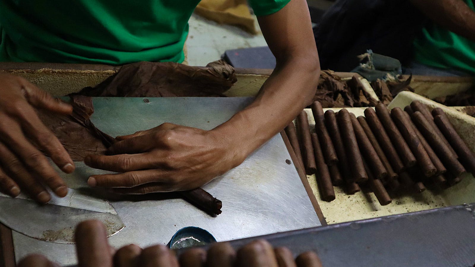 A roller inside the Tabacalera Palma cigar factory in the Dominican Republic.