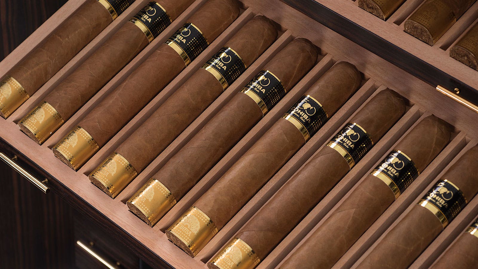 Cohiba 50 Aniversario cigar