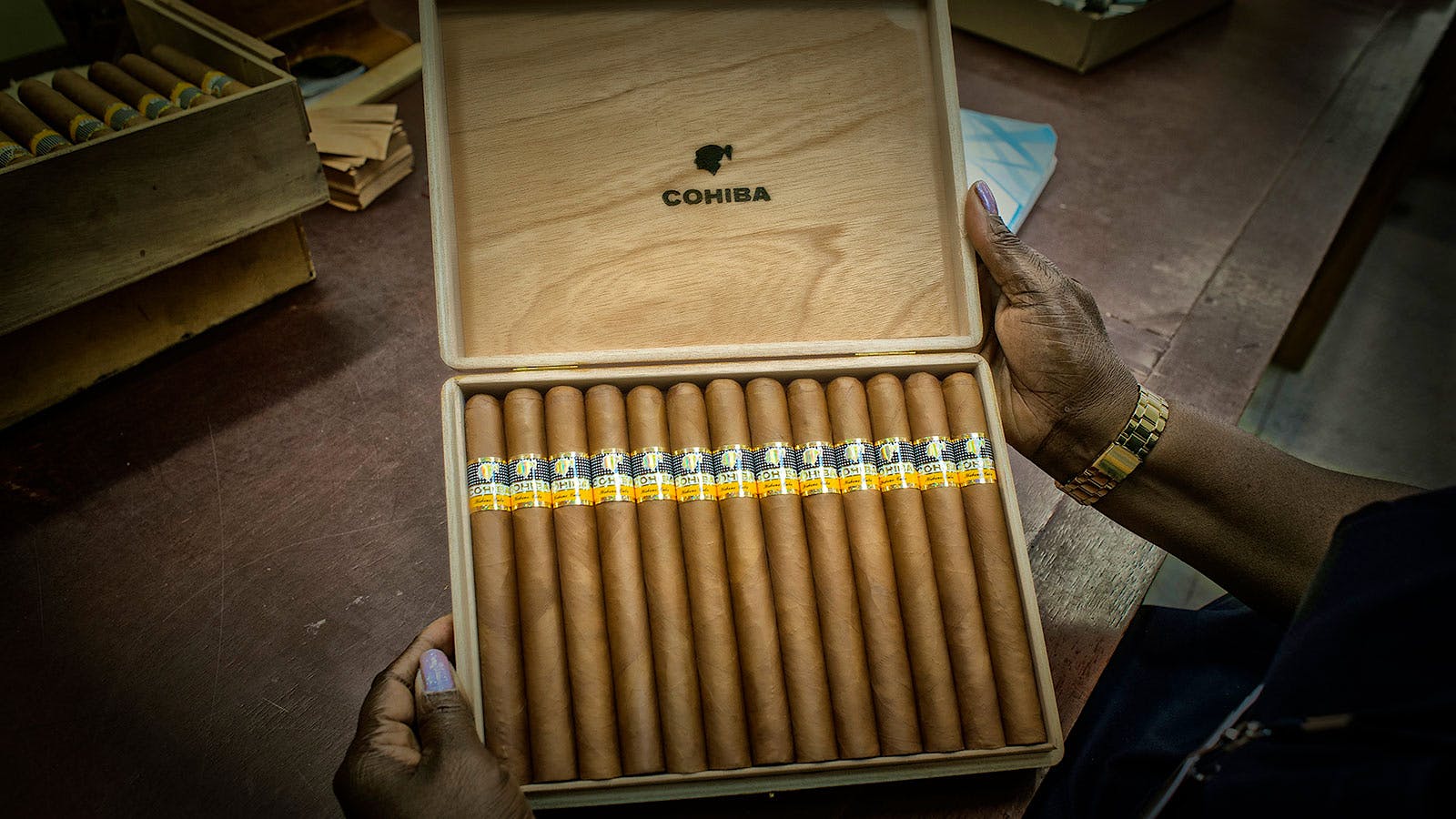 Cohiba – 15 faszinierende Fakten über Kubas berühmteste Zigarrenmarke