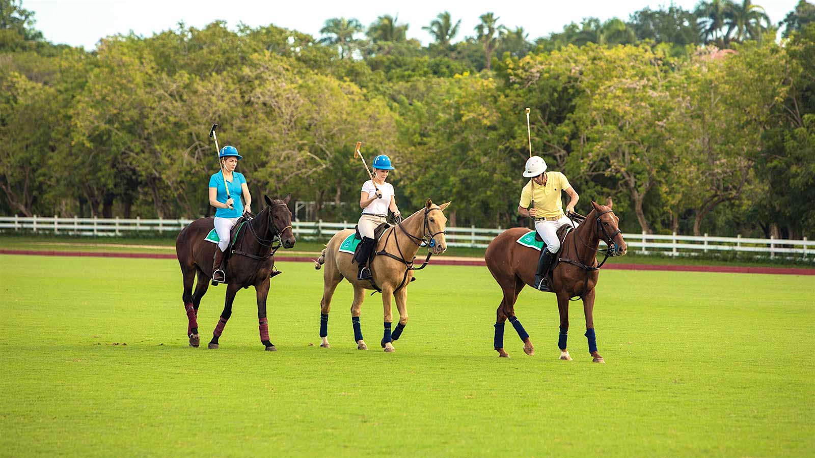 The equestrian center allows for everything from a simple, pleasant ride with the family to expert polo lessons.