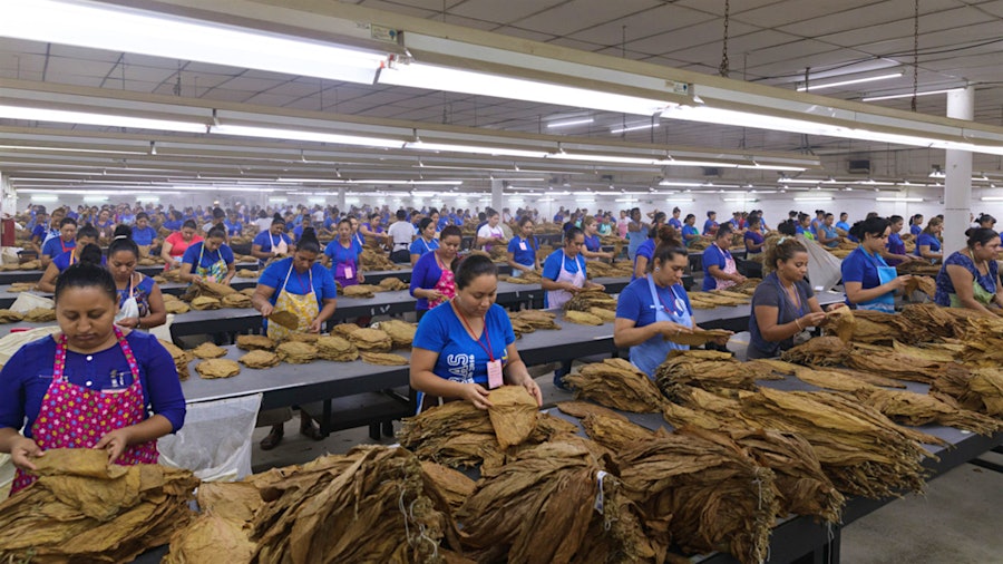 [Update] Covid-19: Cigar Factories React to Viral Outbreak