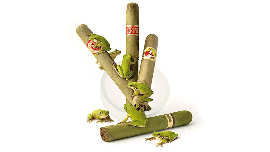 10 Things To Know About Candela—Or Green—Cigars