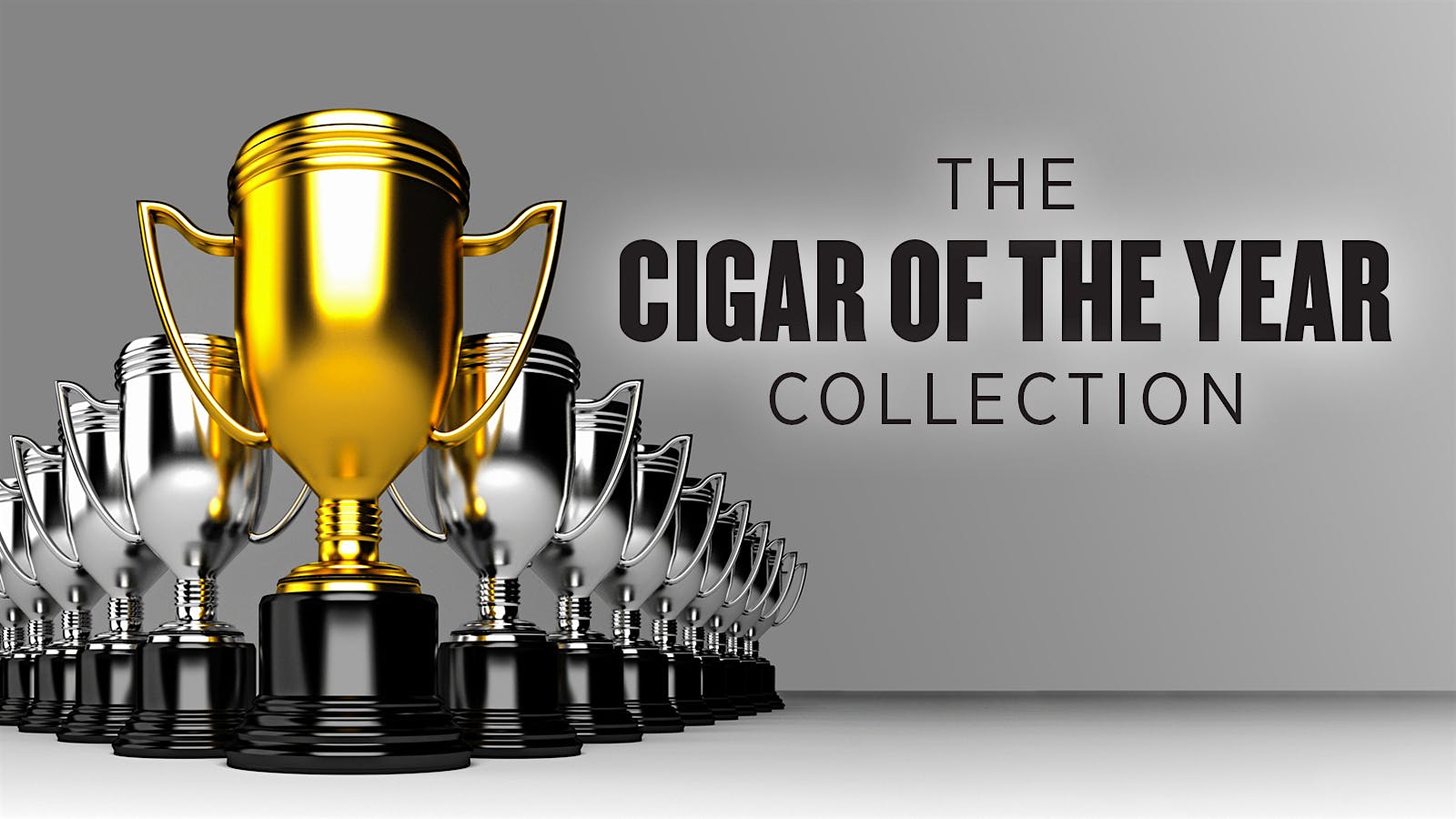 The Cigar of the Year Collection Cigar Aficionado