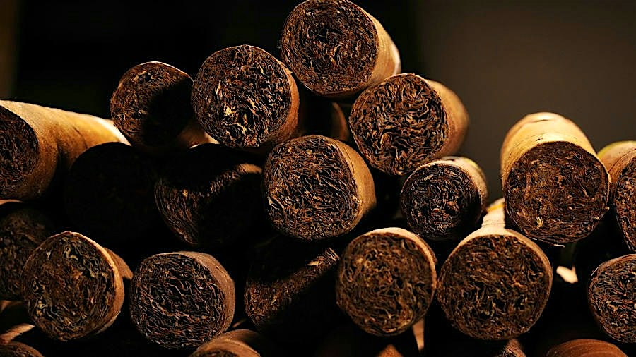 Everything You Need to Know About Montenegro Cigars in 2023