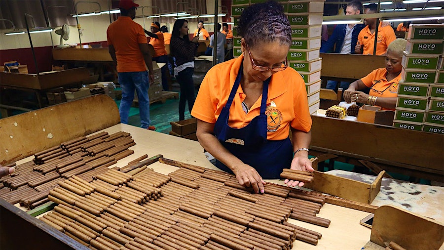 Cigar Festivals