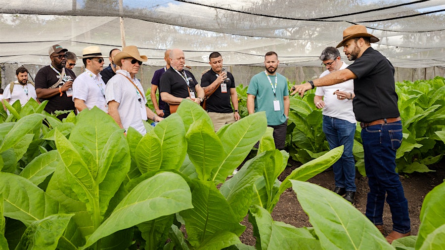 Puro Sabor Throws 11th Festival In Nicaragua Cigar Aficionado