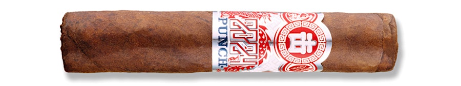 Punch Dragon Fire