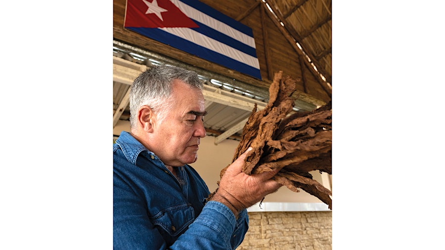 Maximo