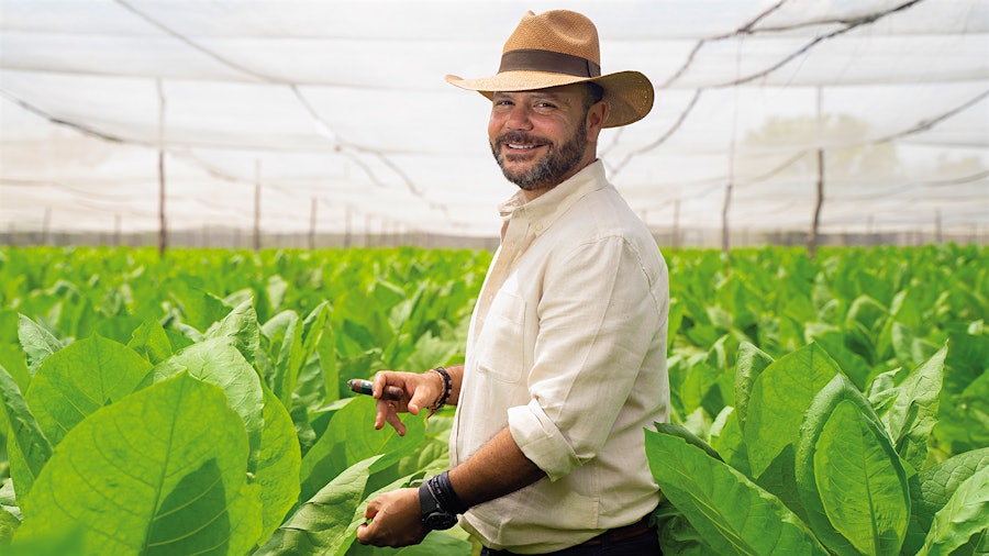 The Tobacco Titan