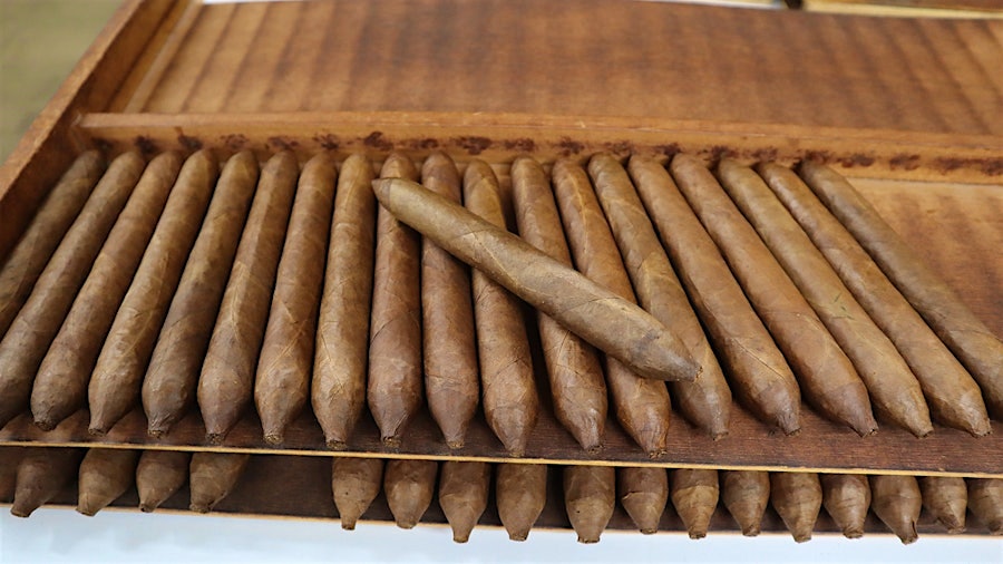 Padrón Cigars