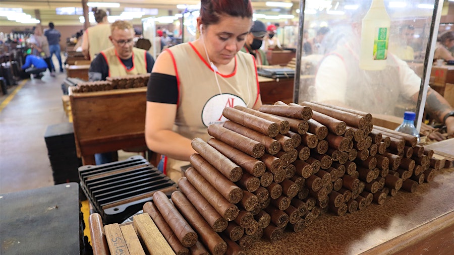 Cigar Insider