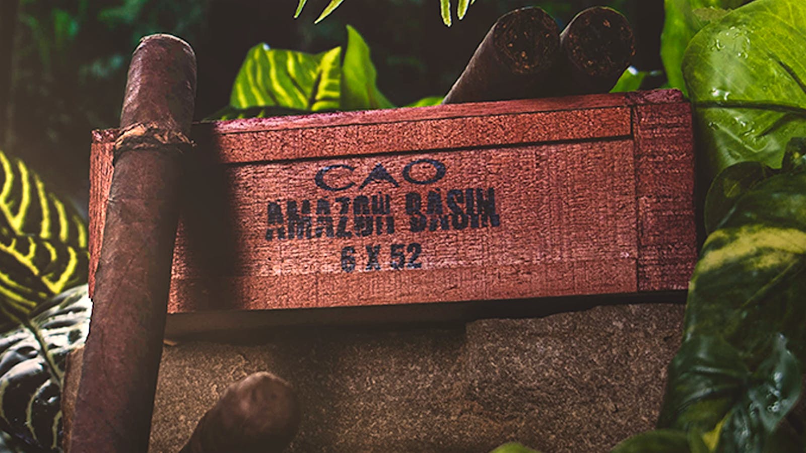 CAO Amazon Basin Returning For 2025 Cigar Aficionado