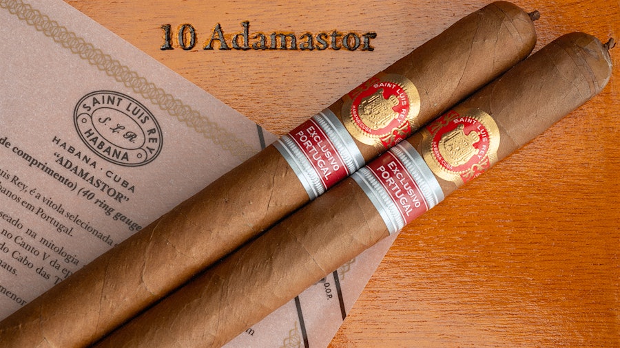 Saint Luis Rey