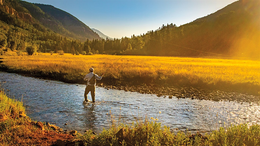 Fly Fishing