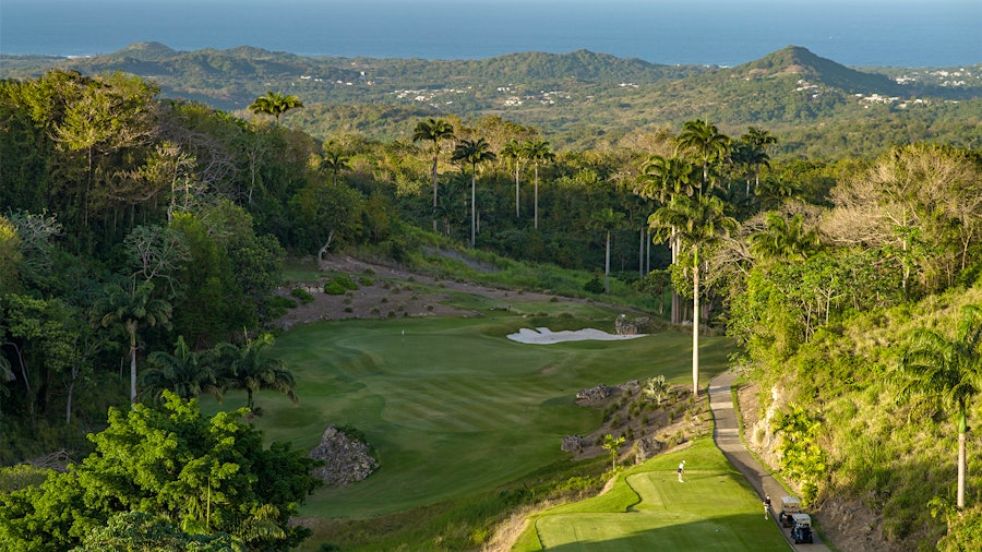 Apes Hill