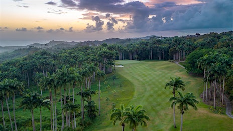 The Apes Hill Tobacco Project