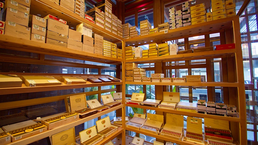 New Casa Del Habano Opens In Querétaro, Mexico