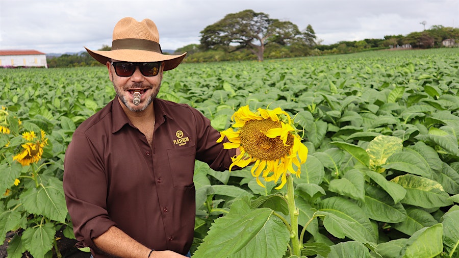 A Walking Tour Of Plasencia Cigars And Joya de Nicaragua