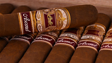 Casa Carrillo Adding Ascend