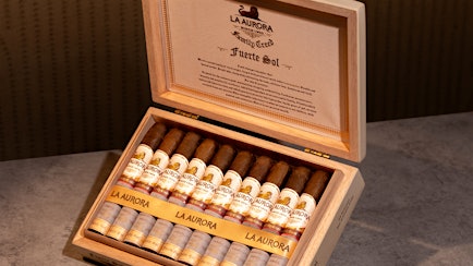 La Aurora Blends Tradition with Modernity for Highly-Rated Family Creed Series