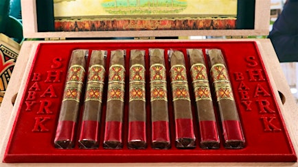 Fuente Fuente OpusX Baby Shark Sightings