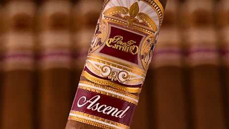 pelo de oro tobacco Pelo d'Oro | Cigar Aficionado