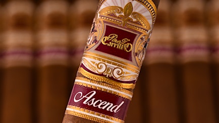 Casa Carrillo Ships Ascend