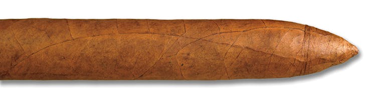 The Edge Missle Corojo Torpedo