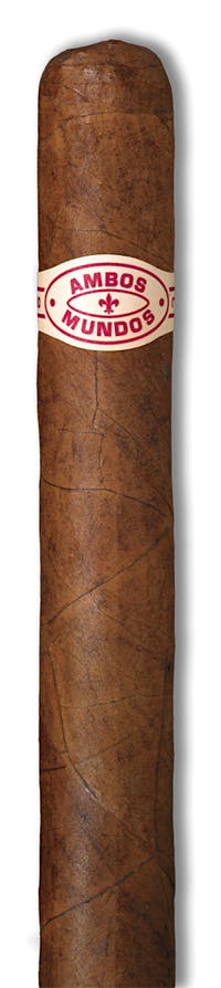 AMBOS MUNDOS NO. 1 TORO