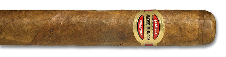 Ambos Mundos No. 2 Grande