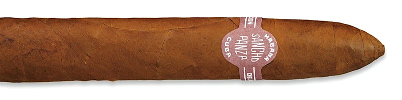 Sancho Panza Belicoso