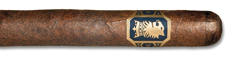 Undercrown Gordito