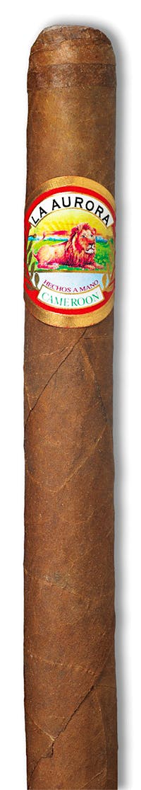 AURORA PREFERIDOS LANCERO