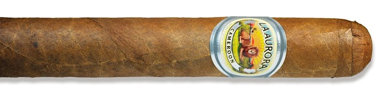 Aurora Preferidos Platinum Robusto 