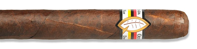Quesada Oktoberfest Kurz